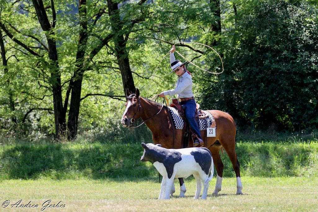 Swiss Ranch Horse Association - SRHA