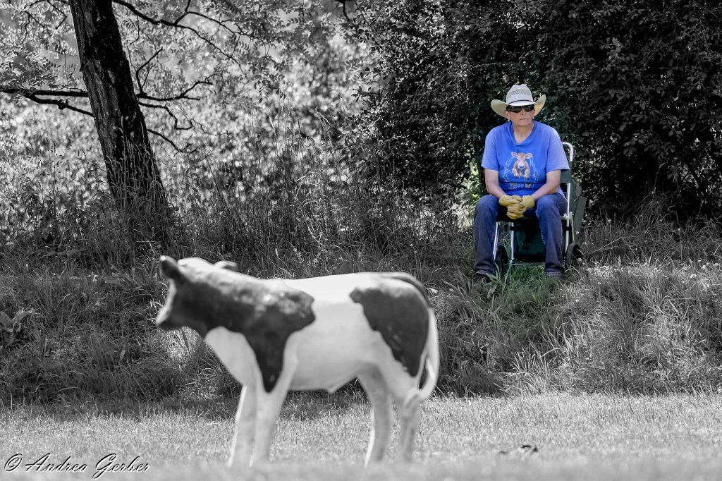 Swiss Ranch Horse Association - SRHA