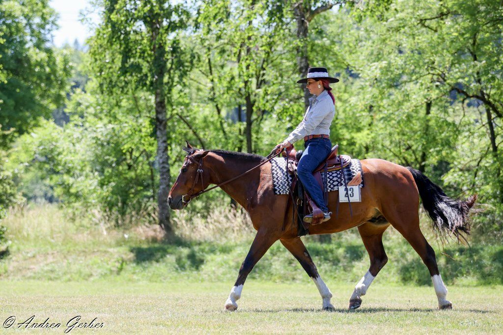 Swiss Ranch Horse Association - SRHA