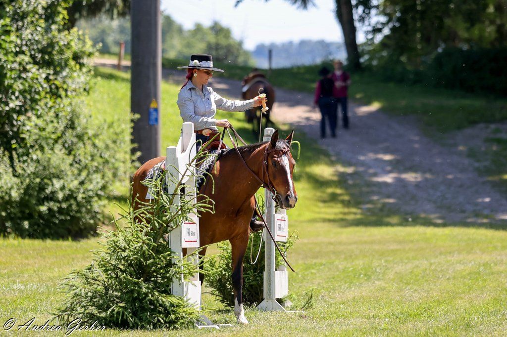 Swiss Ranch Horse Association - SRHA