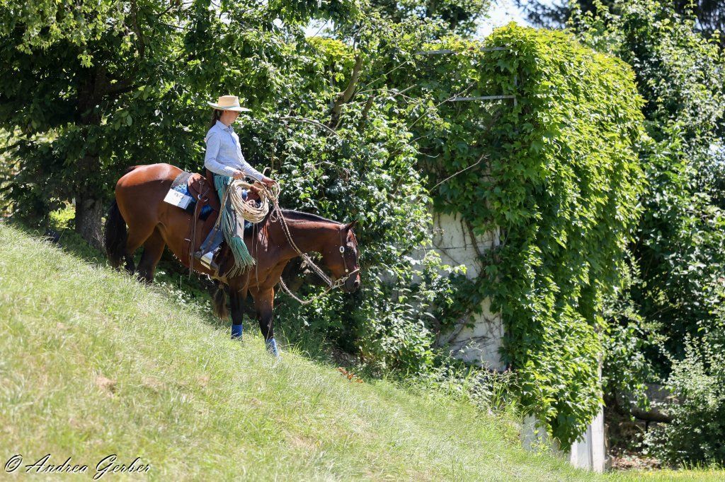 Swiss Ranch Horse Association - SRHA