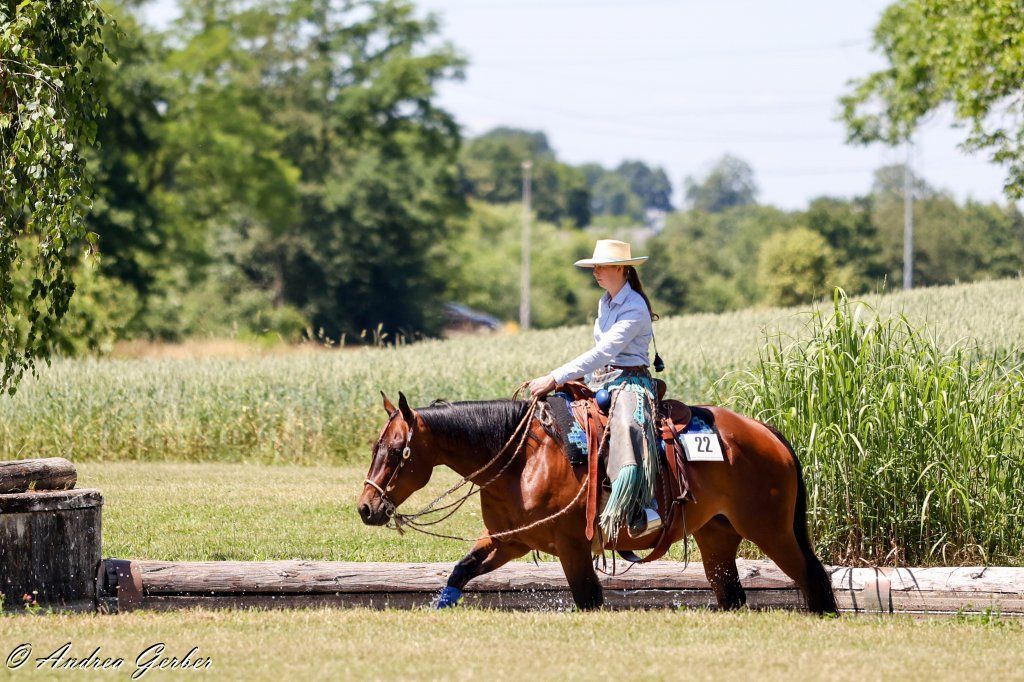 Swiss Ranch Horse Association - SRHA