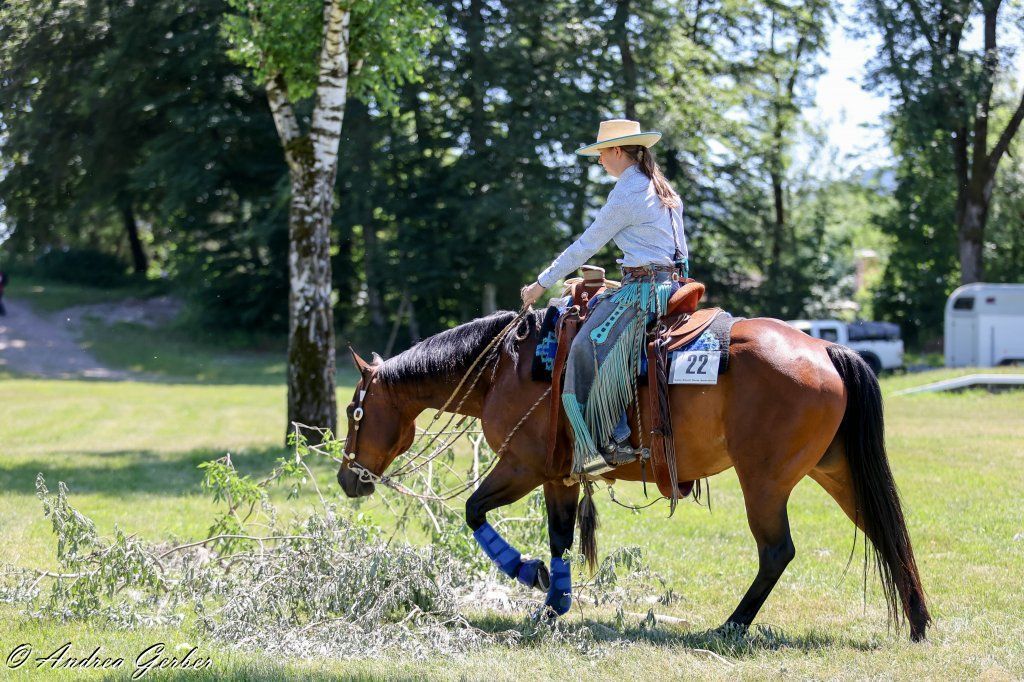 Swiss Ranch Horse Association - SRHA