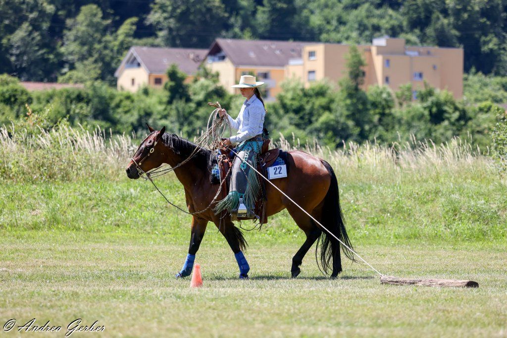 Swiss Ranch Horse Association - SRHA