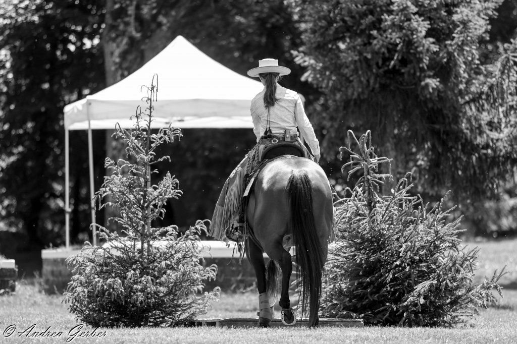 Swiss Ranch Horse Association - SRHA