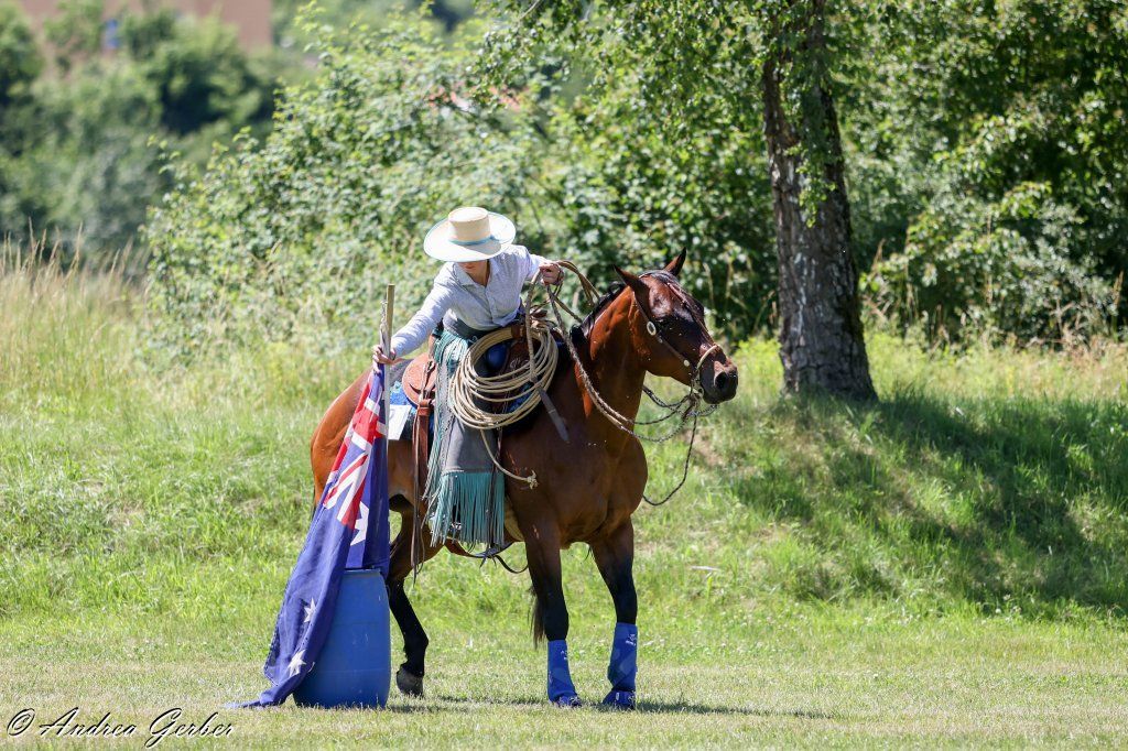 Swiss Ranch Horse Association - SRHA