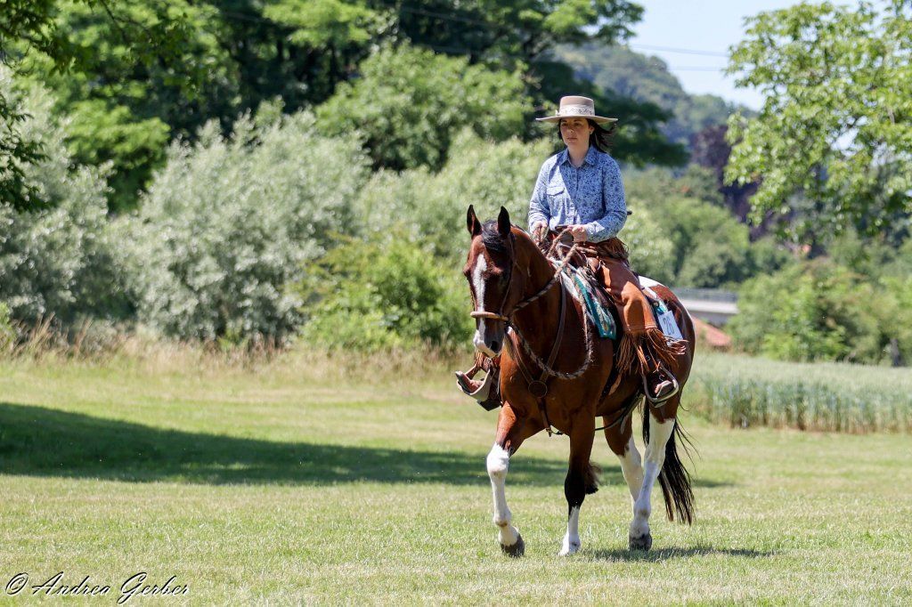 Swiss Ranch Horse Association - SRHA