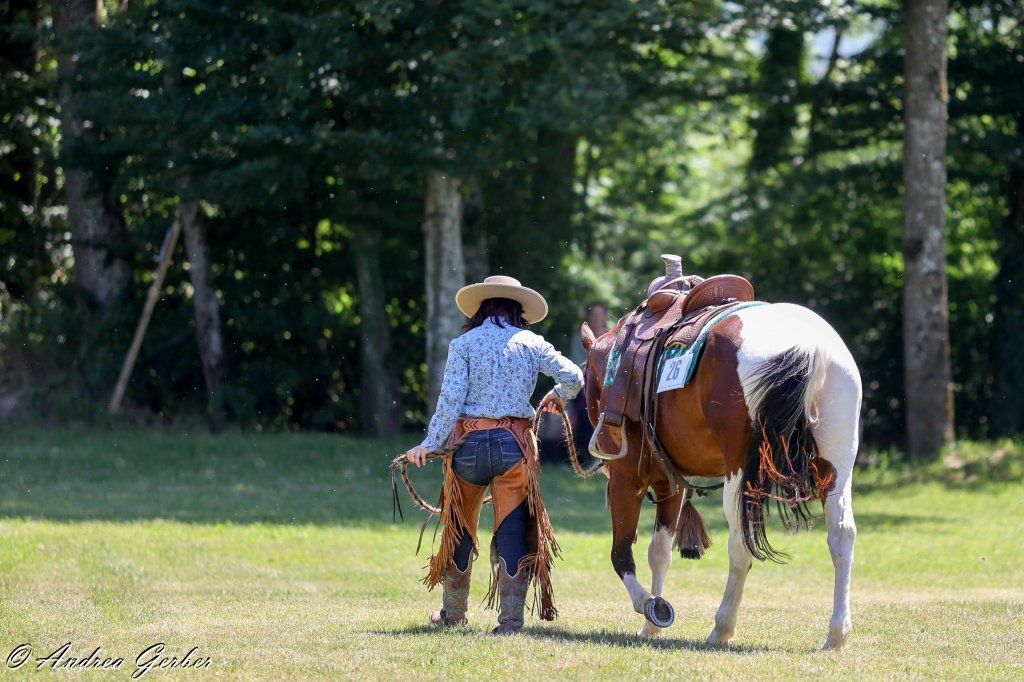 Swiss Ranch Horse Association - SRHA