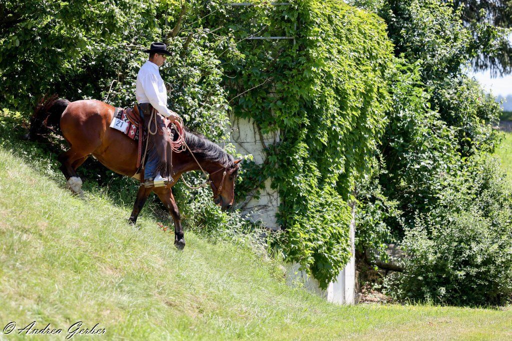 Swiss Ranch Horse Association - SRHA