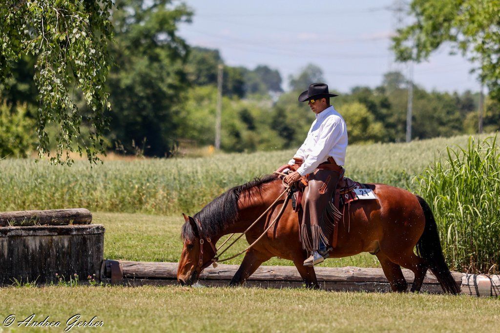 Swiss Ranch Horse Association - SRHA