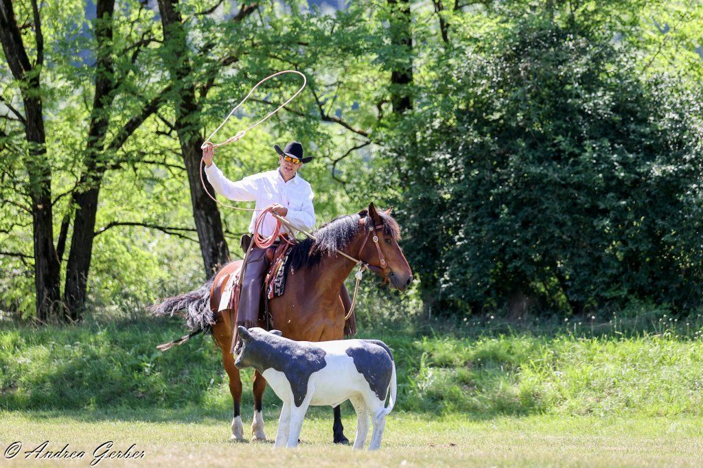 Swiss Ranch Horse Association - SRHA