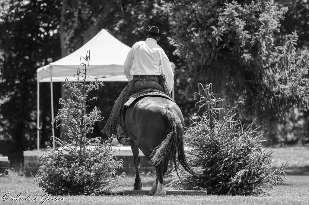Swiss Ranch Horse Association - SRHA