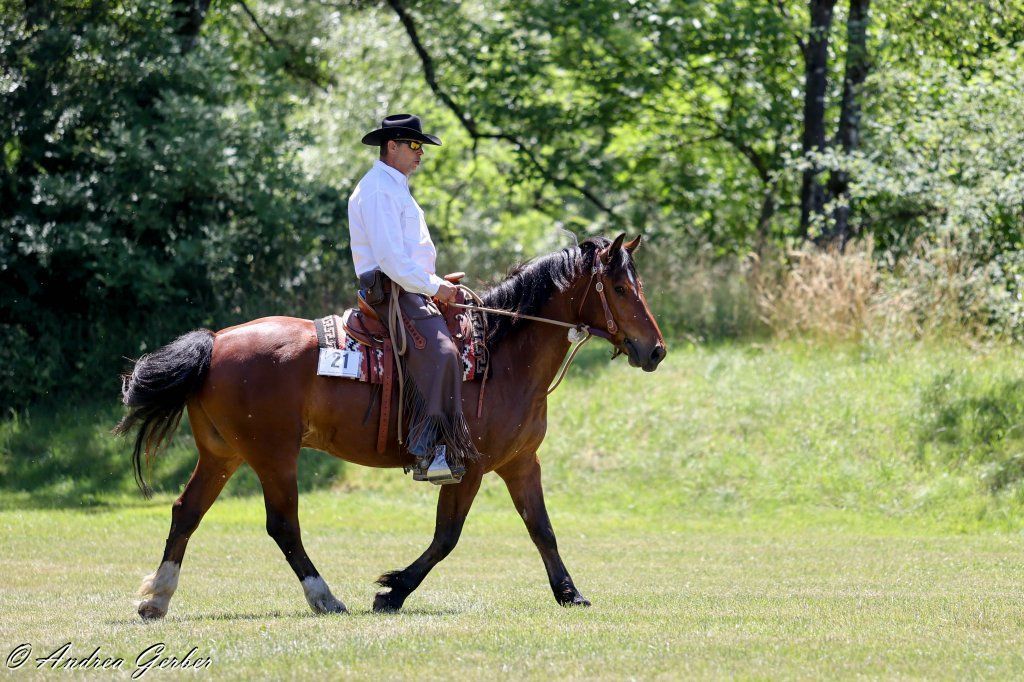 Swiss Ranch Horse Association - SRHA