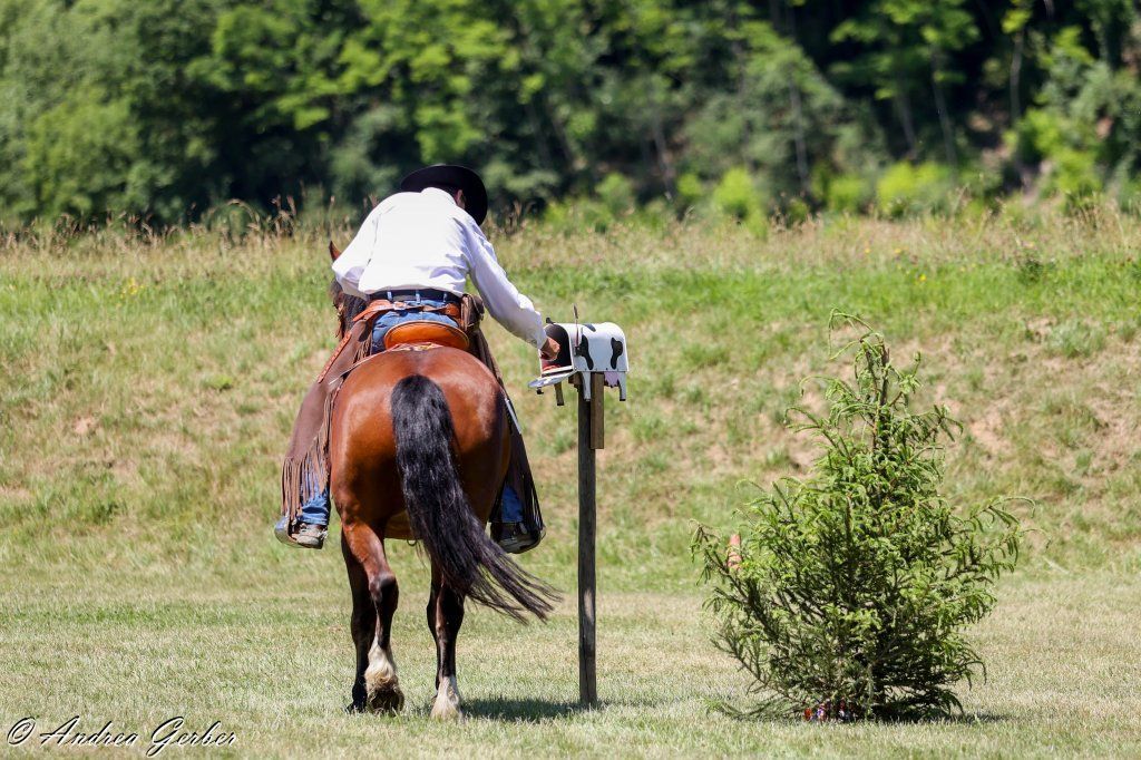 Swiss Ranch Horse Association - SRHA