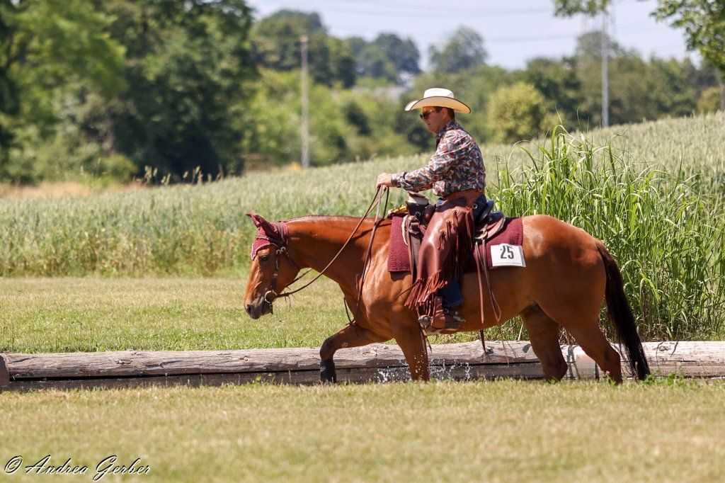 Swiss Ranch Horse Association - SRHA