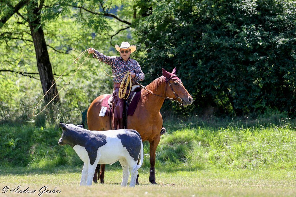 Swiss Ranch Horse Association - SRHA