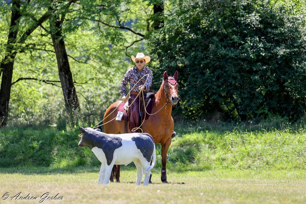 Swiss Ranch Horse Association - SRHA