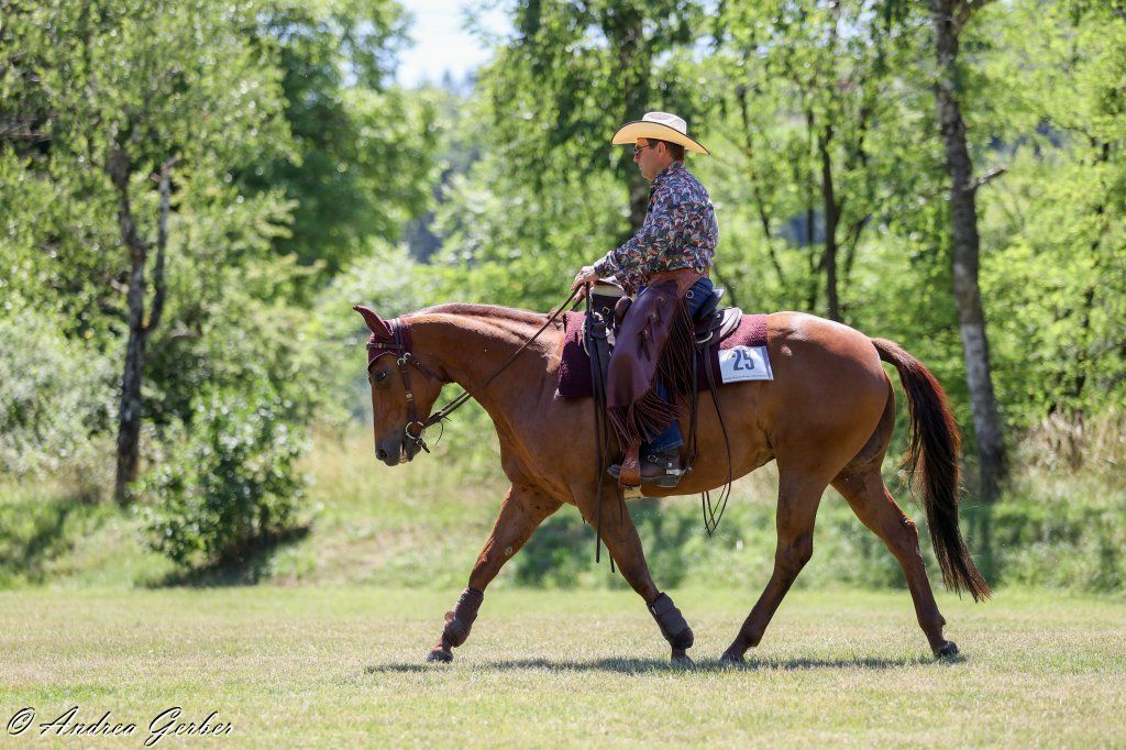 Swiss Ranch Horse Association - SRHA