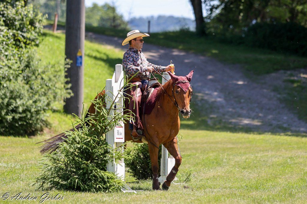 Swiss Ranch Horse Association - SRHA