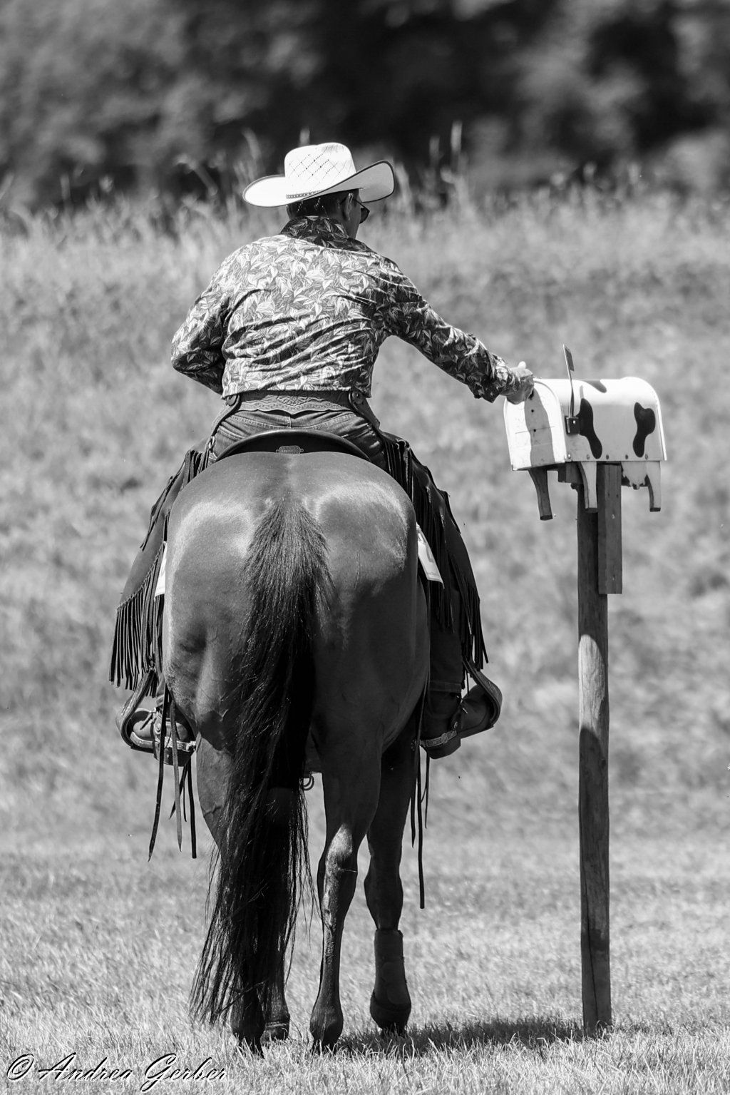 Swiss Ranch Horse Association - SRHA