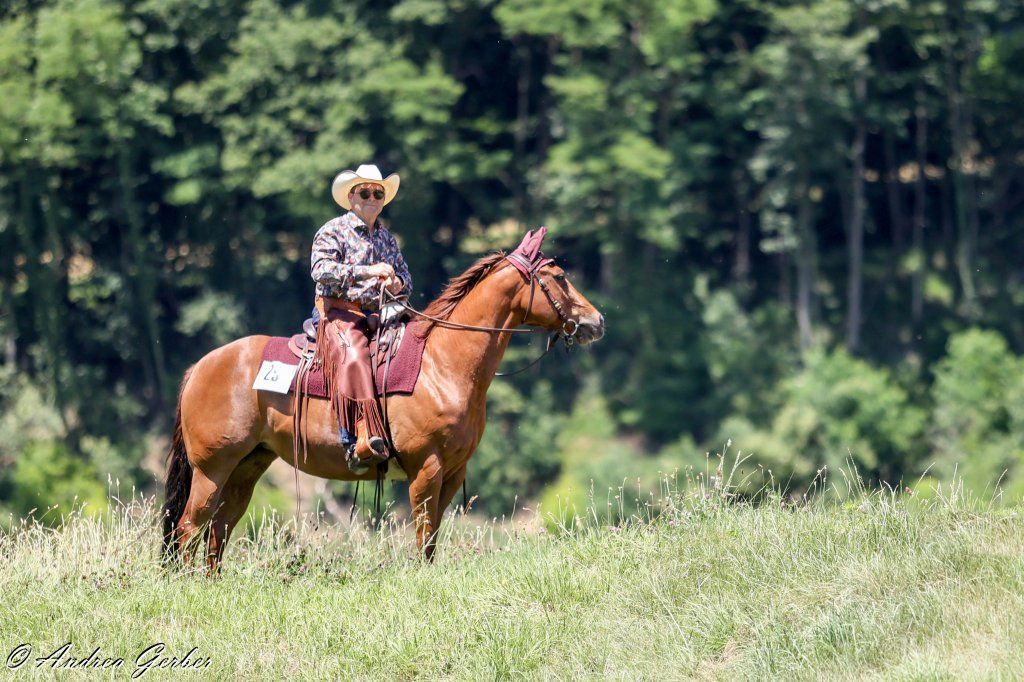 Swiss Ranch Horse Association - SRHA