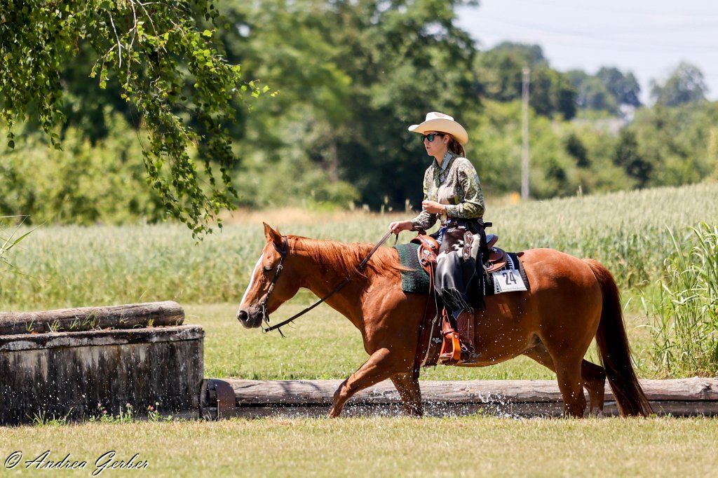 Swiss Ranch Horse Association - SRHA