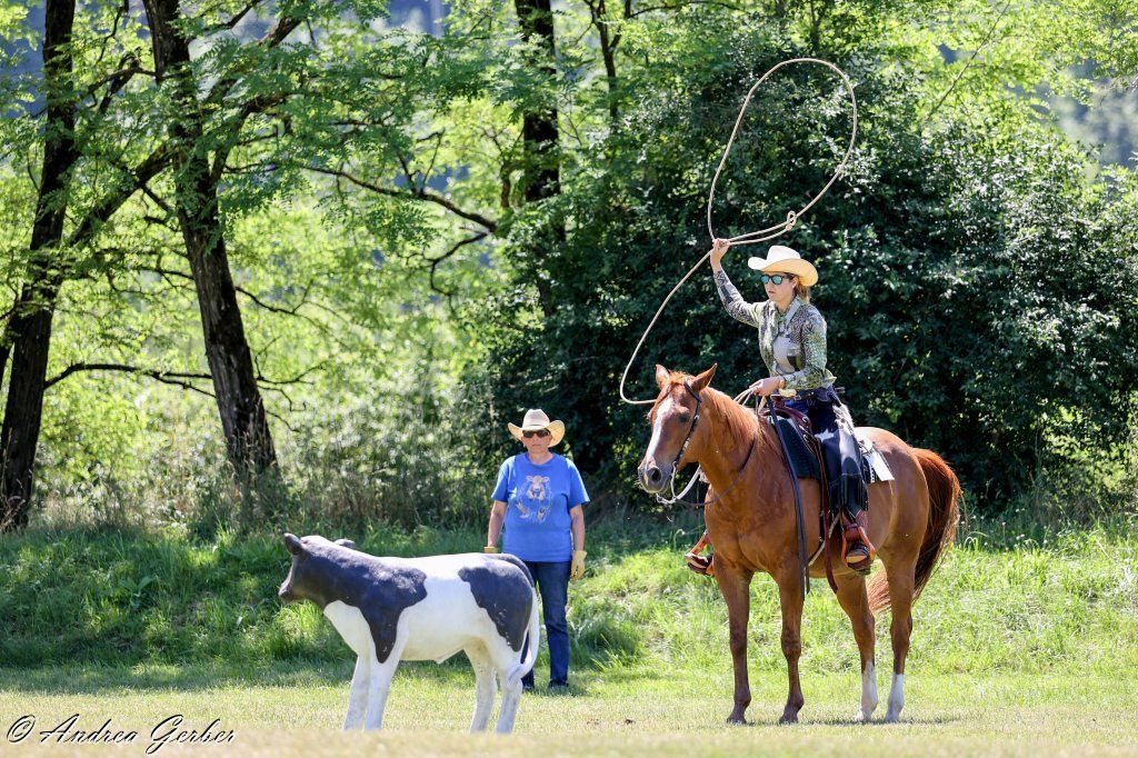 Swiss Ranch Horse Association - SRHA