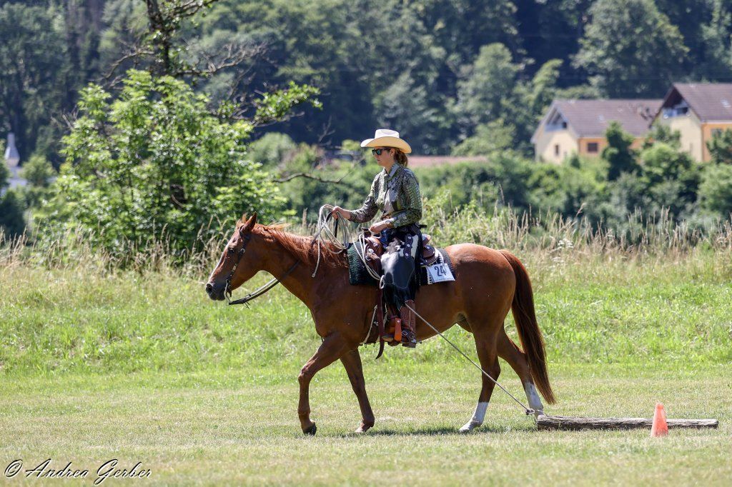 Swiss Ranch Horse Association - SRHA