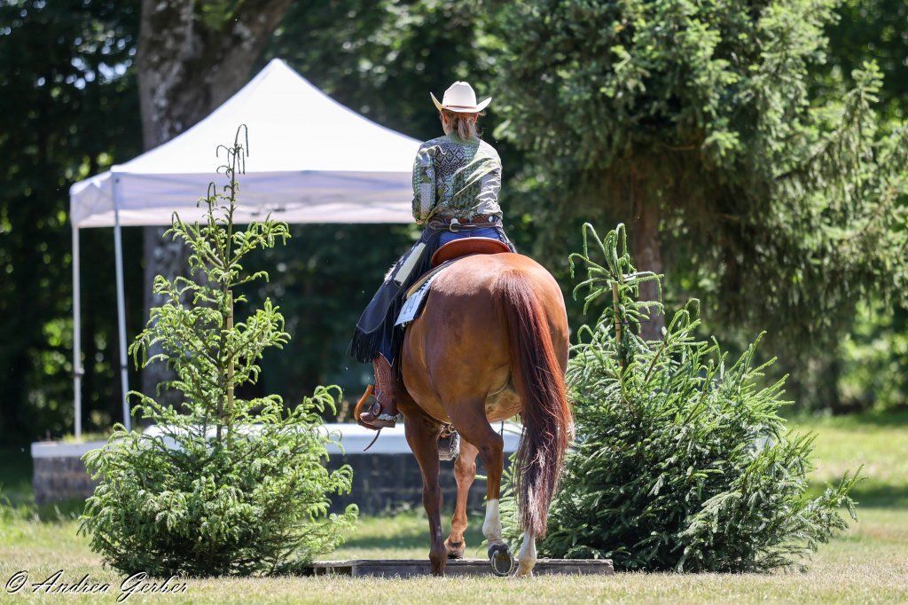 Swiss Ranch Horse Association - SRHA