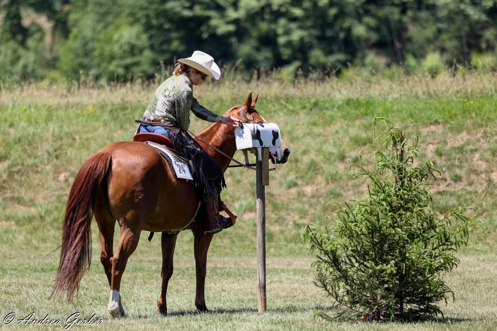 Swiss Ranch Horse Association - SRHA