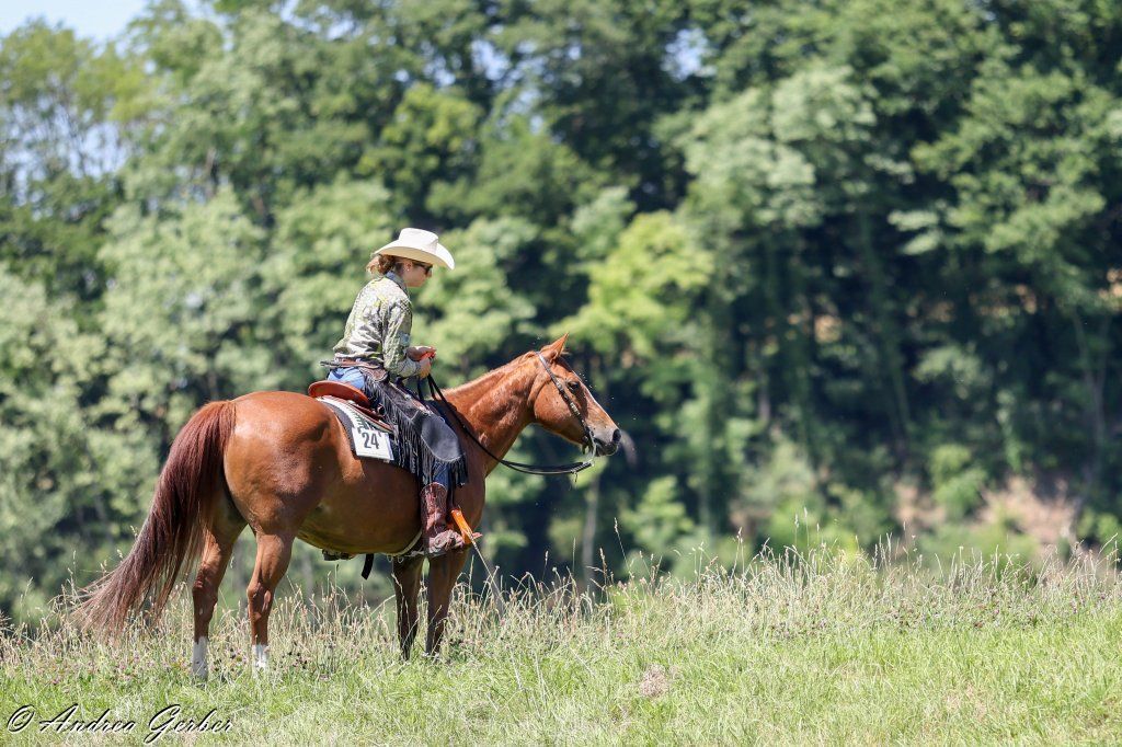 Swiss Ranch Horse Association - SRHA