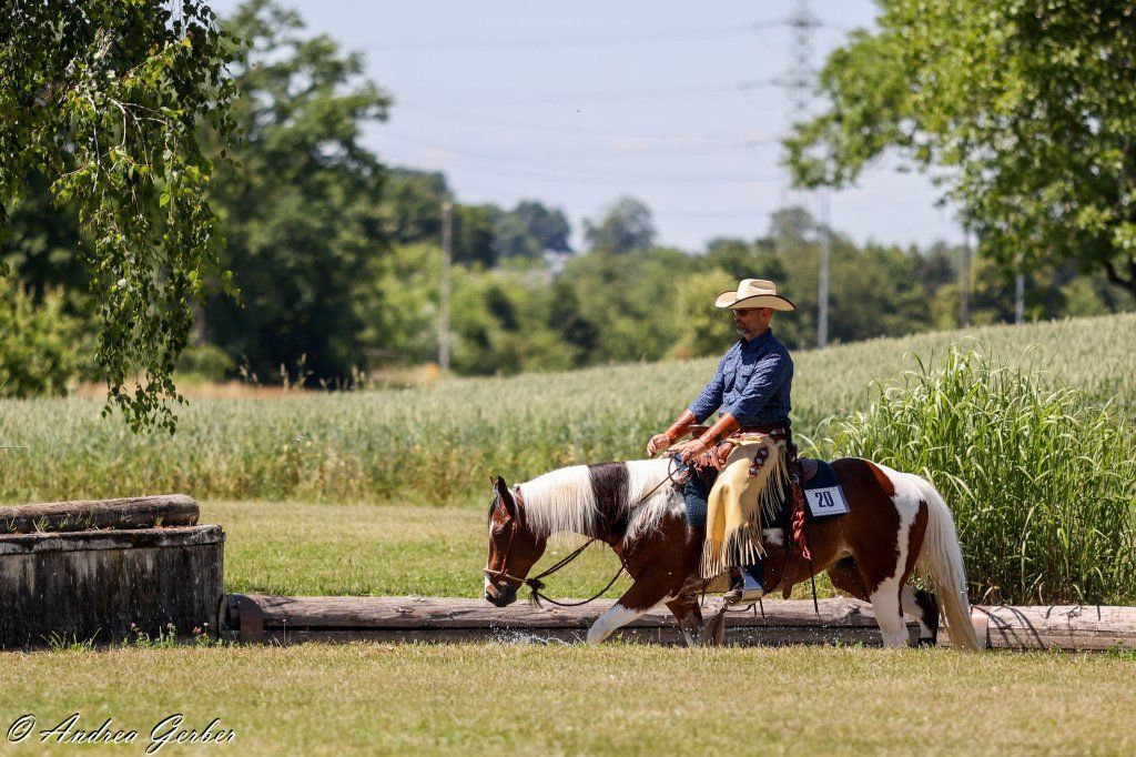Swiss Ranch Horse Association - SRHA