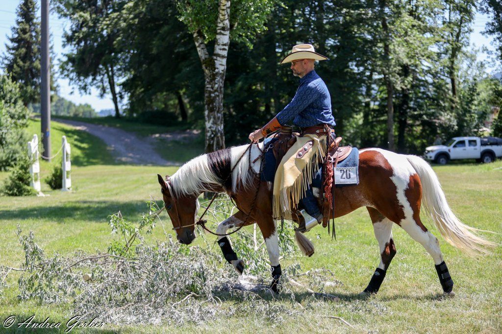Swiss Ranch Horse Association - SRHA