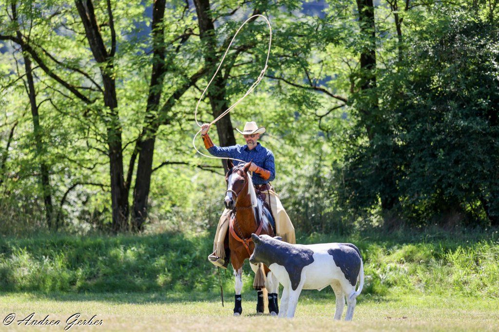 Swiss Ranch Horse Association - SRHA