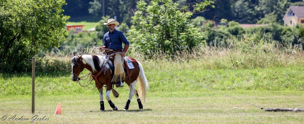 Swiss Ranch Horse Association - SRHA
