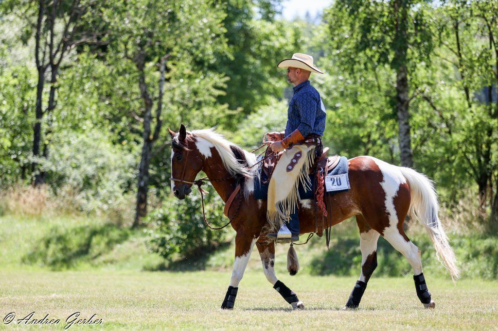 Swiss Ranch Horse Association - SRHA