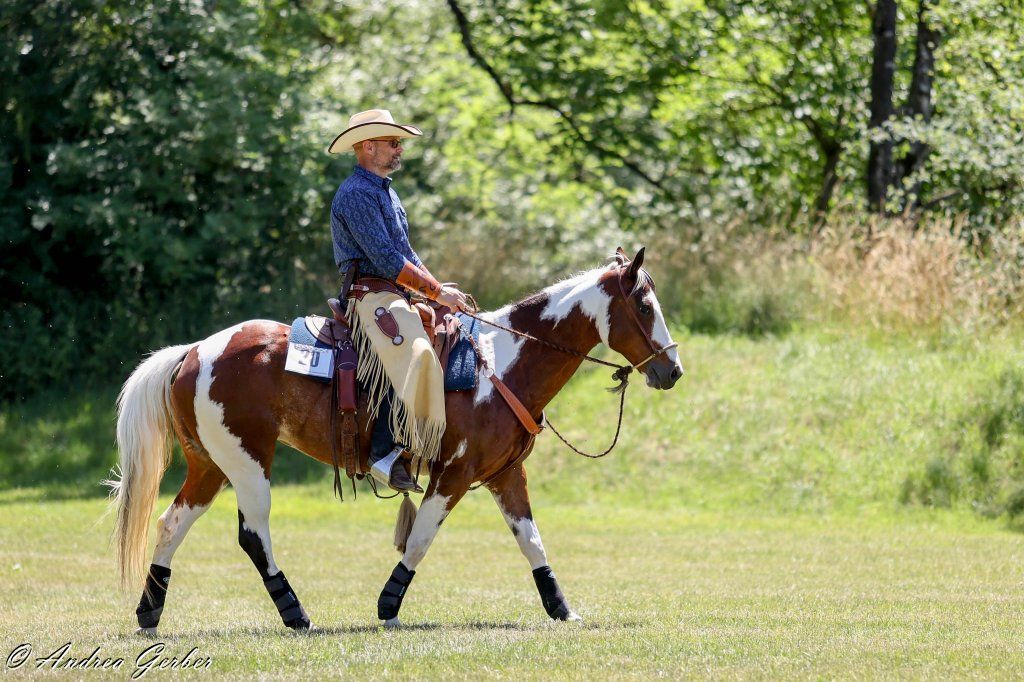 Swiss Ranch Horse Association - SRHA