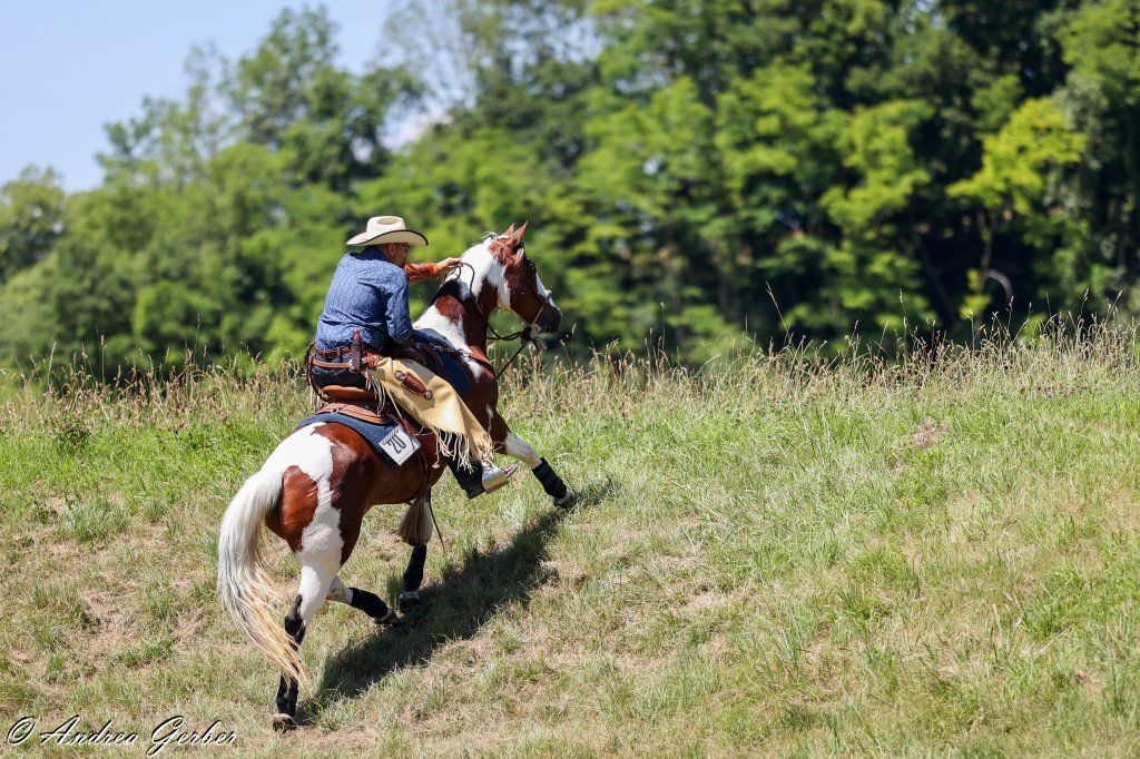 Swiss Ranch Horse Association - SRHA