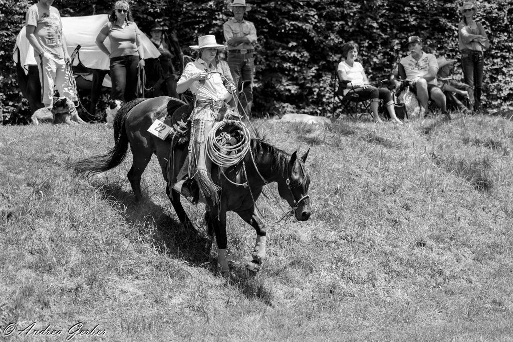 Swiss Ranch Horse Association - SRHA