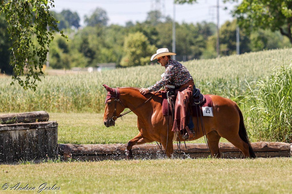 Swiss Ranch Horse Association - SRHA