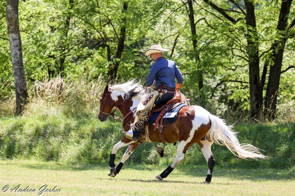 Swiss Ranch Horse Association - SRHA