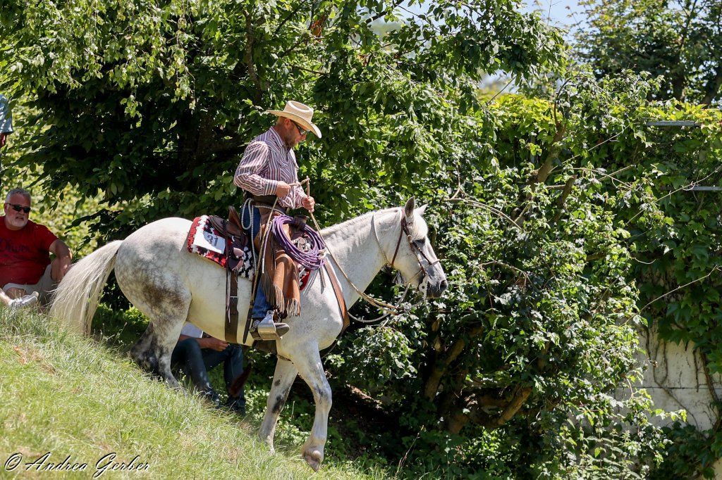 Swiss Ranch Horse Association - SRHA