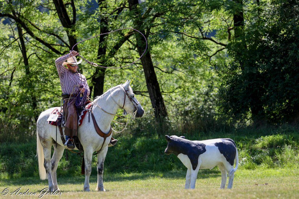 Swiss Ranch Horse Association - SRHA