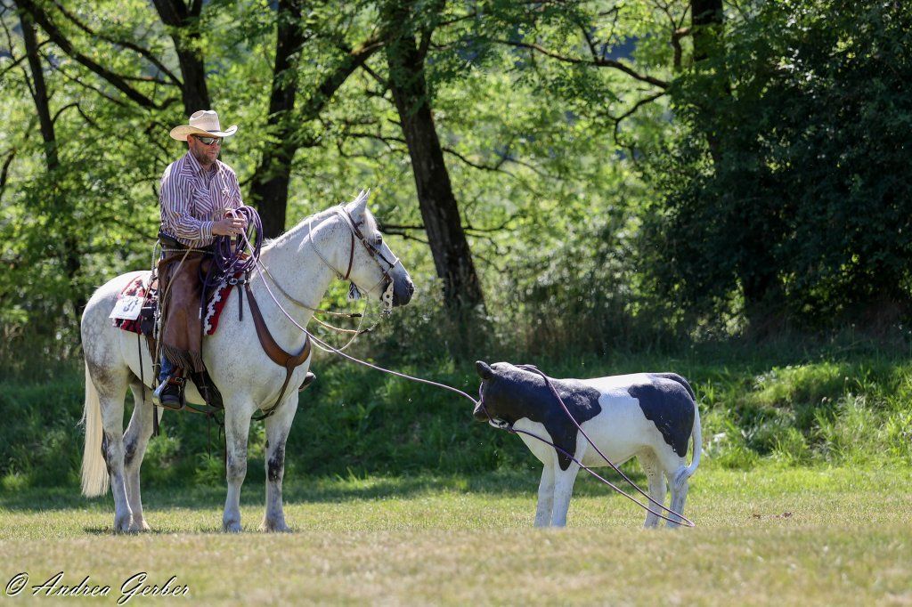 Swiss Ranch Horse Association - SRHA