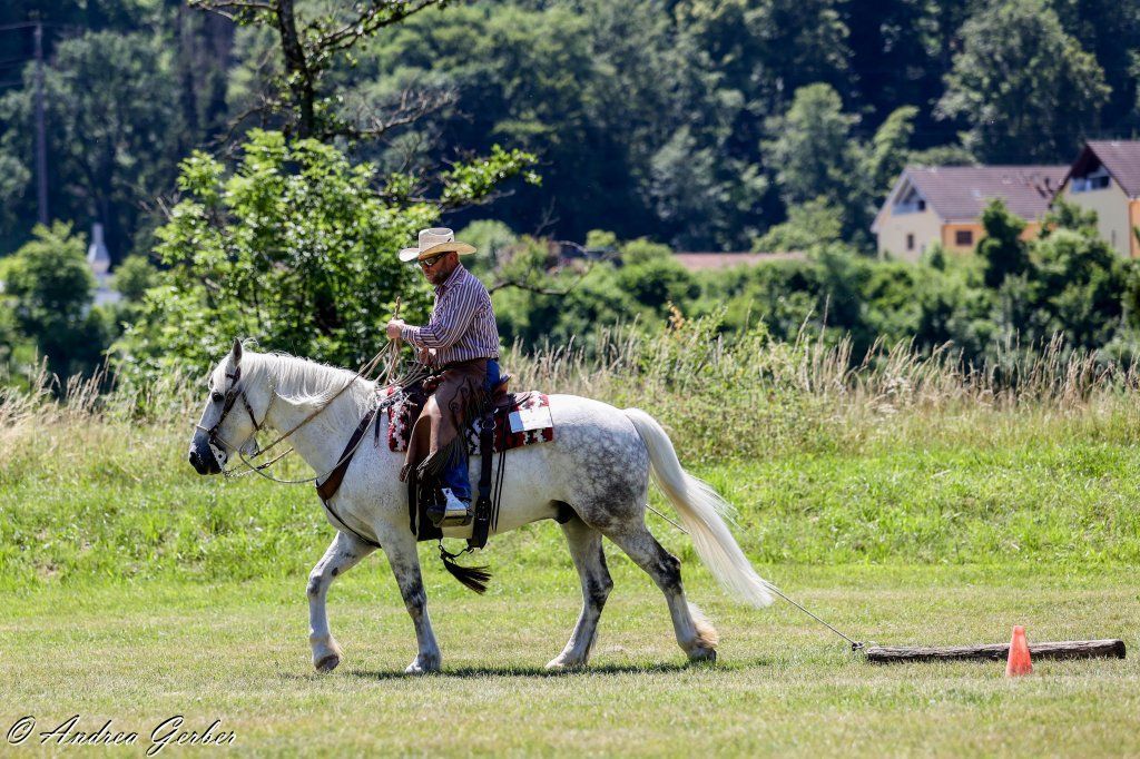 Swiss Ranch Horse Association - SRHA