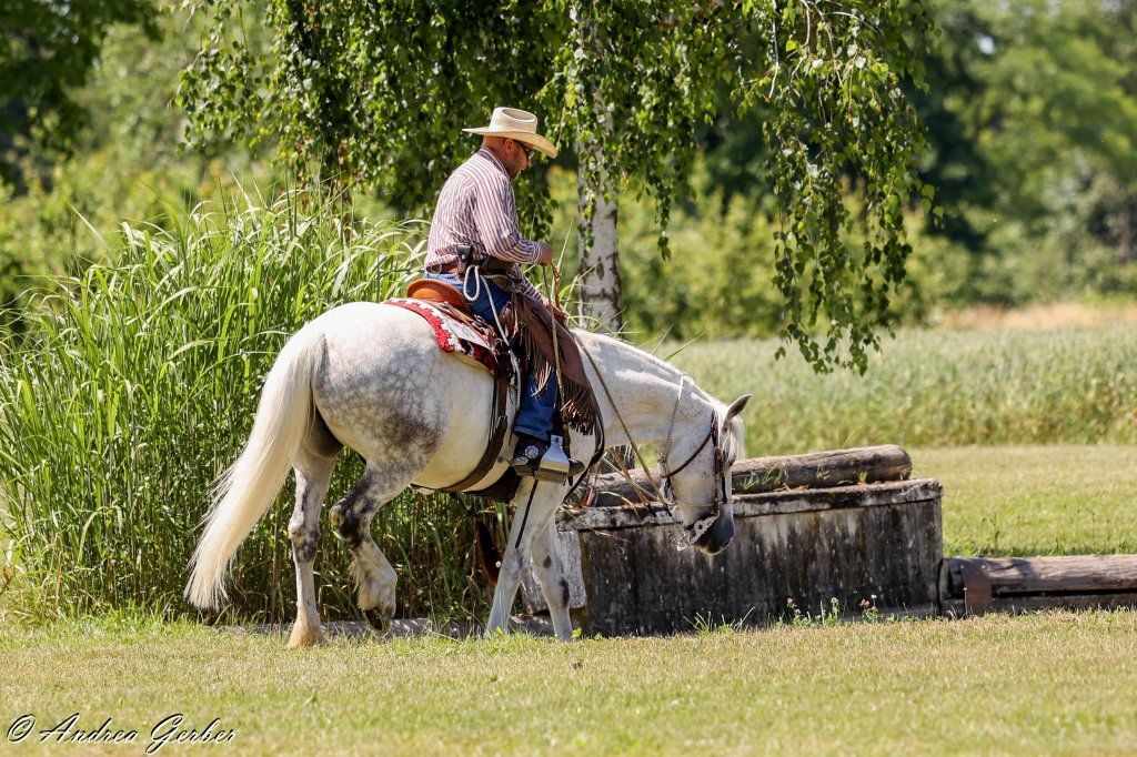 Swiss Ranch Horse Association - SRHA