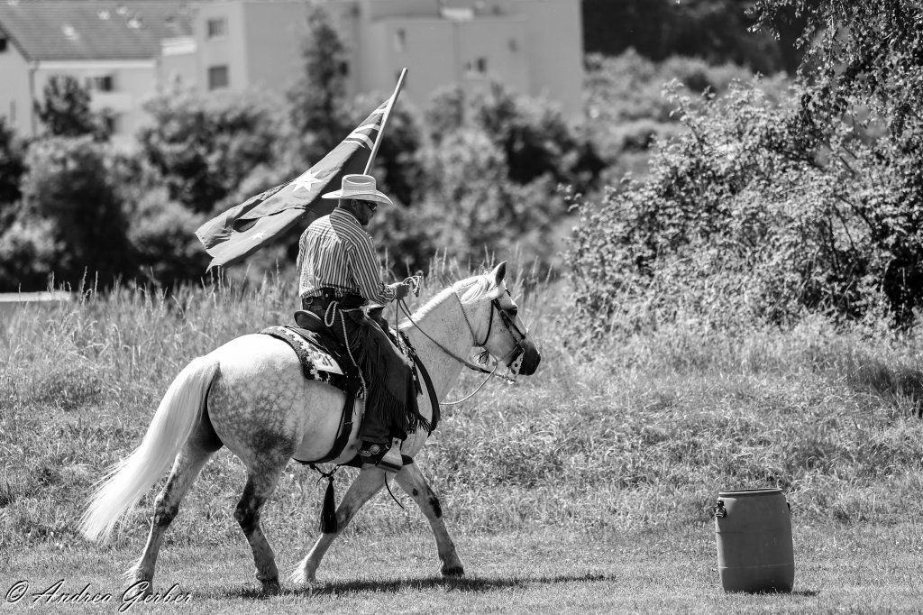 Swiss Ranch Horse Association - SRHA