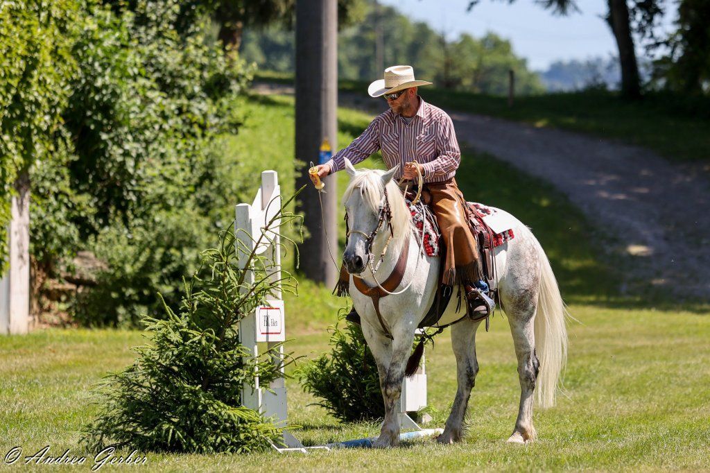 Swiss Ranch Horse Association - SRHA