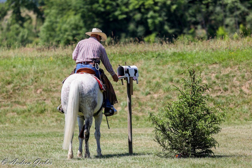 Swiss Ranch Horse Association - SRHA