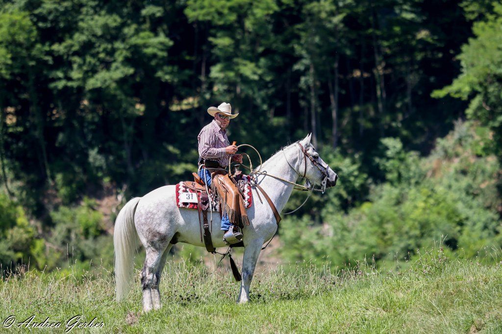Swiss Ranch Horse Association - SRHA